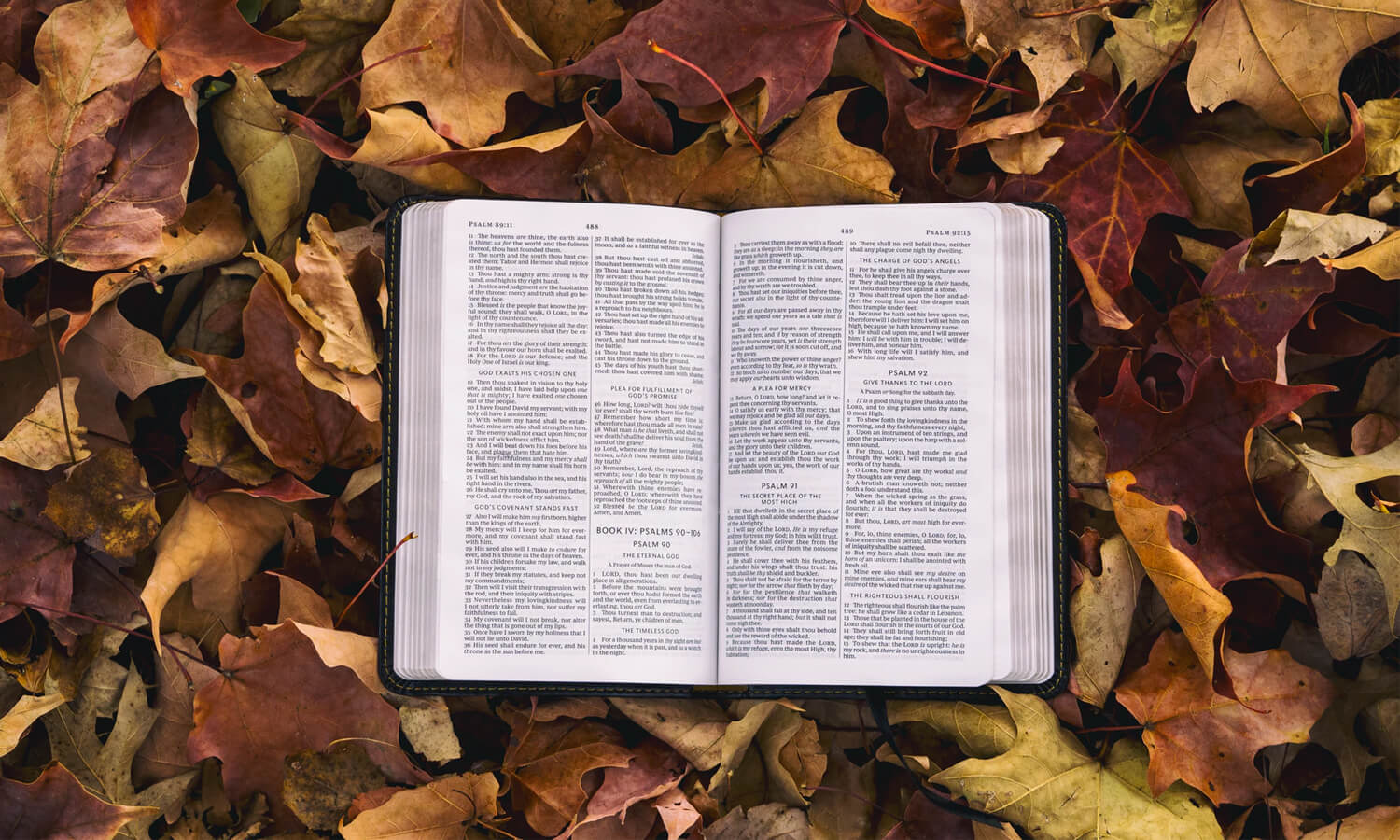 Is the Bible the word of God?